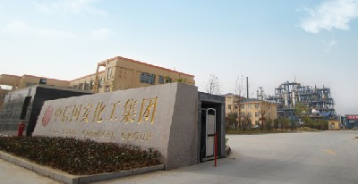 中國500強——中信國安化工集團