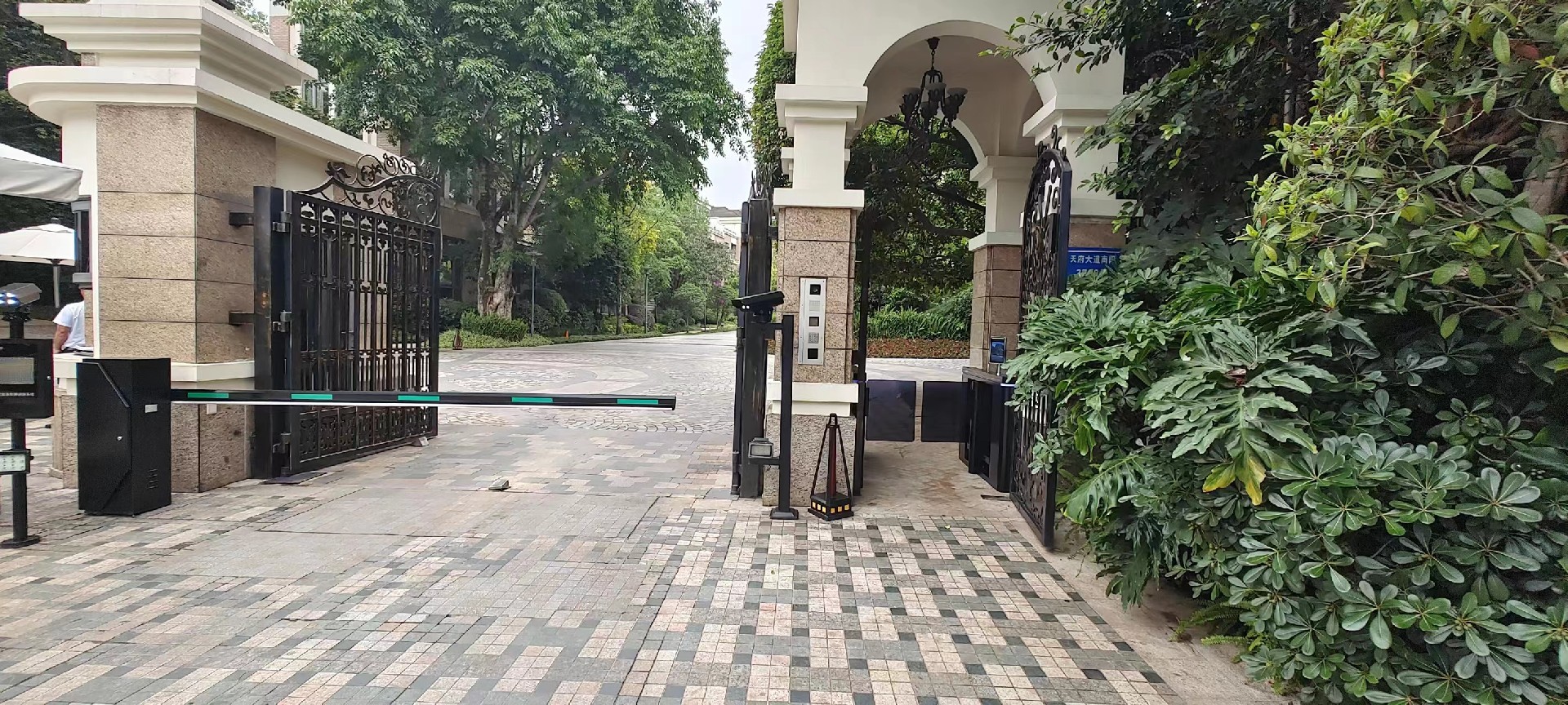 1684545293178433.jpg 1684545293178433.jpg