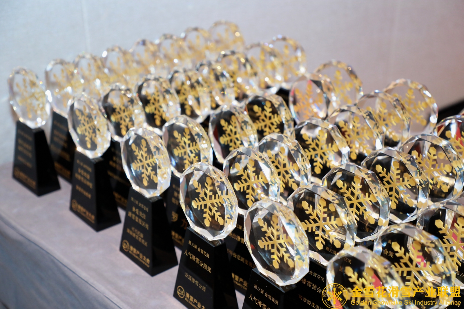 1694741873158579.jpg 13462861.jpg