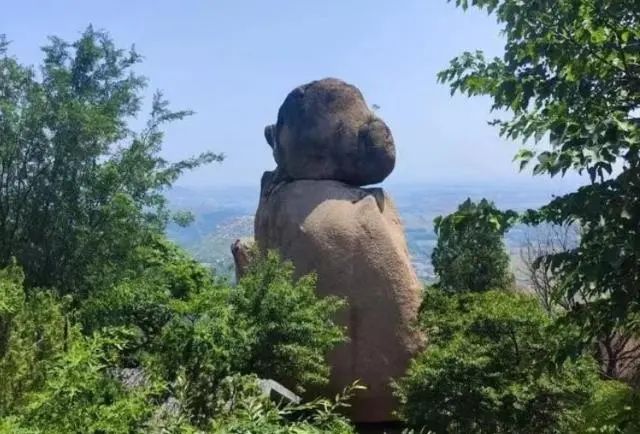 1742868444711841.jpg 6.jpg