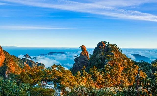 1746758570121720.jpg 3.jpg