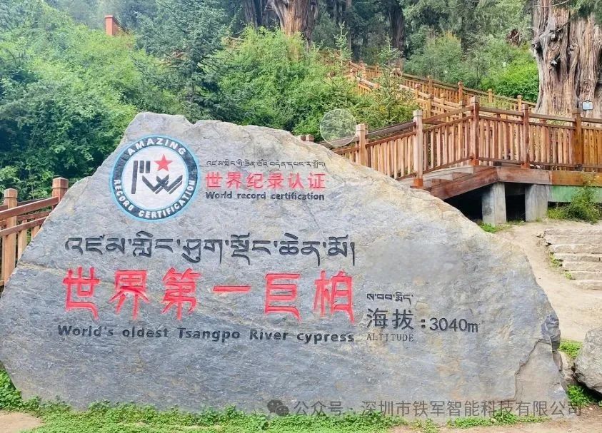 景區閘機系統怎么選擇？聚焦運營效率、便捷通行和安全防范三要素