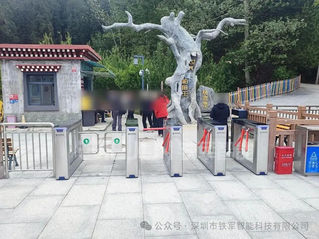 1764728078133482.jpg 4.jpg